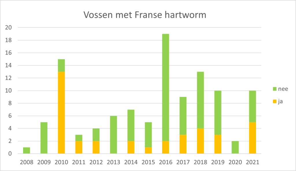 Grafiek met het aantal bij DWHC onderzochte vossen met Franse hartworm
