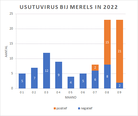 Grafiek van aantal merels met usutuvirus infectie in 3e kwartaal 2022