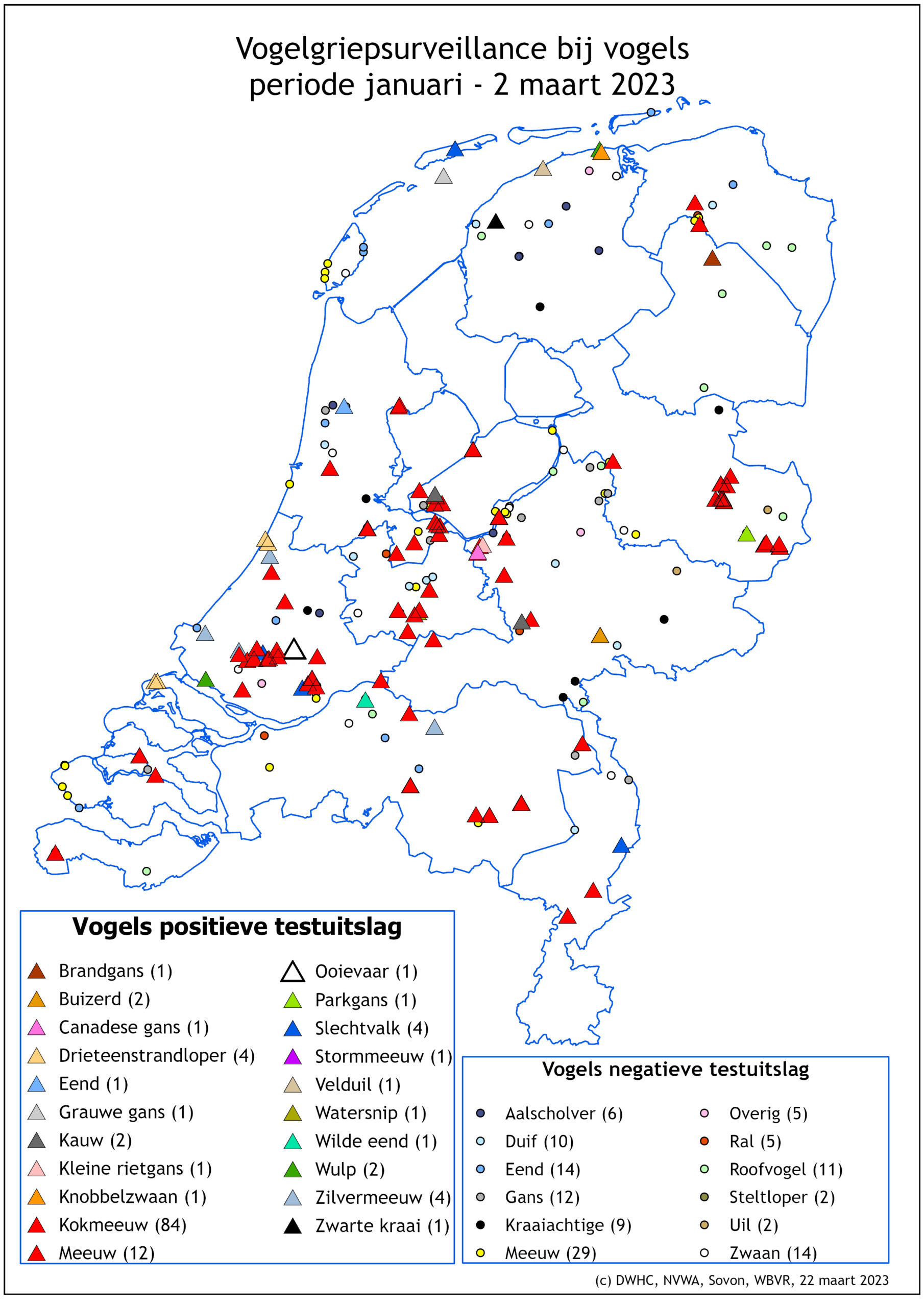 Update Kokmeeuwen Sterfte Dutch Wildlife Health Centre DWHC 