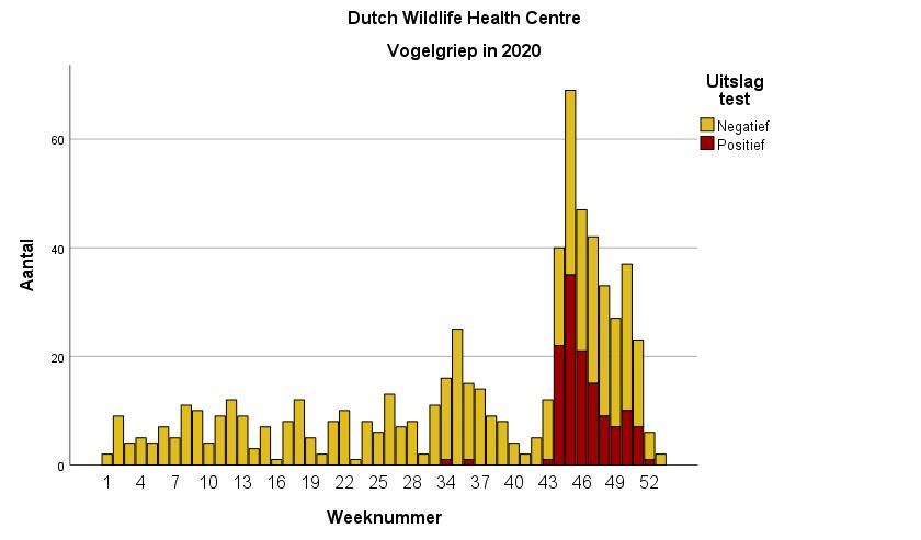 Grafiek met vogelgriep testresultaten van dode vogels in 2020