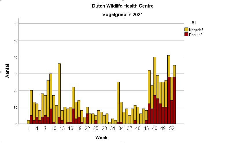 Grafiek met vogelgriep testresultaten van dode vogels in 2021