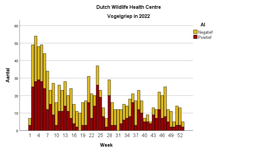 Grafiek met vogelgriep testresultaten van dode vogels in 2022