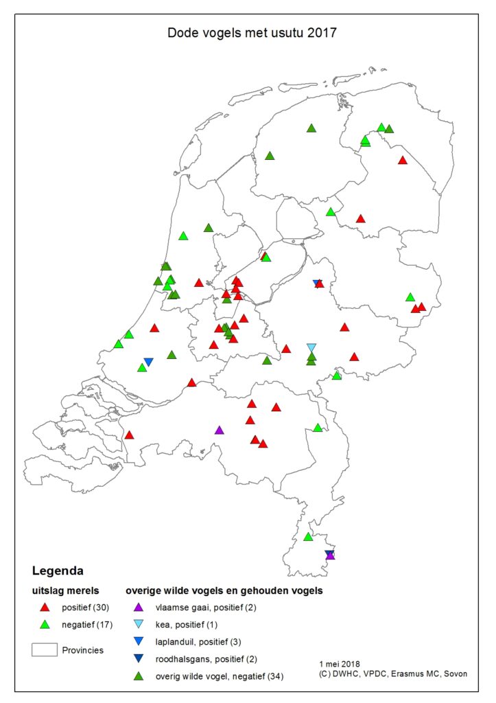 Sovon: eerste cijfers 2018: minder merels in steden en dorpen