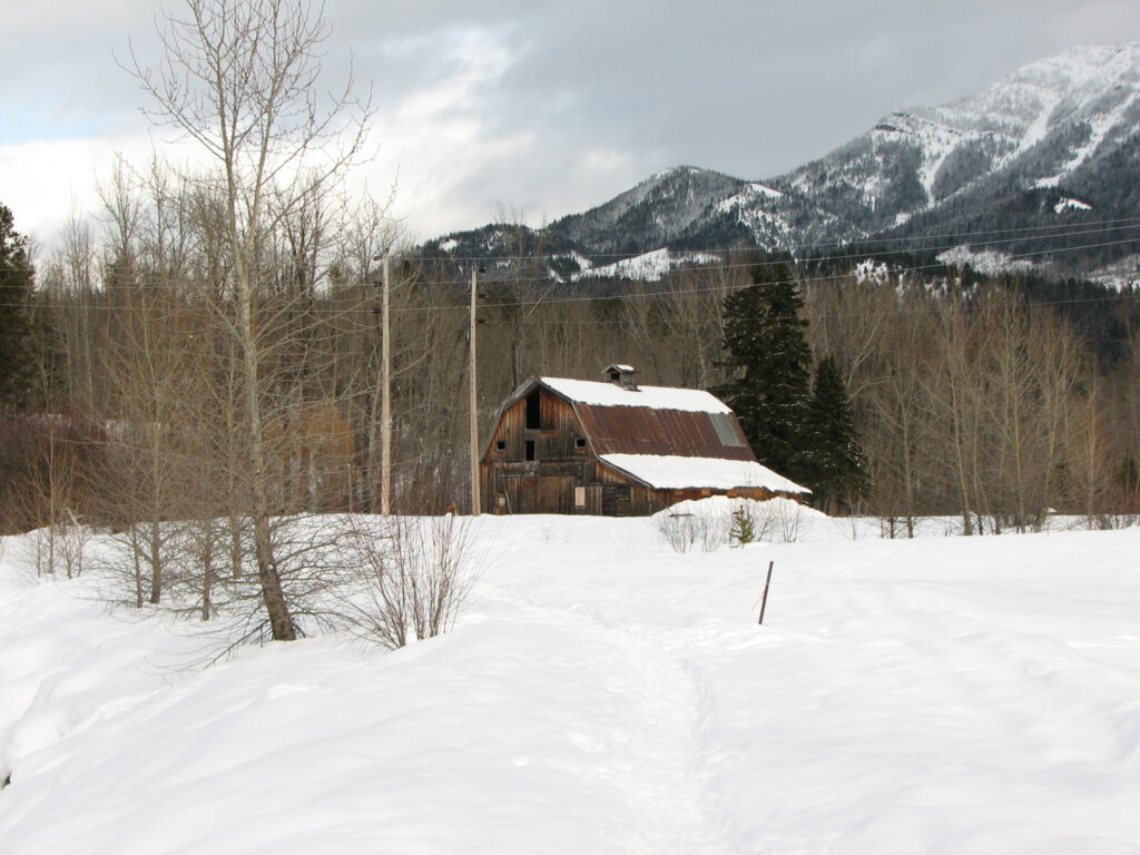 Wilde dieren als indicator voor verspreidingsgebied van ‘Heartland-virus’