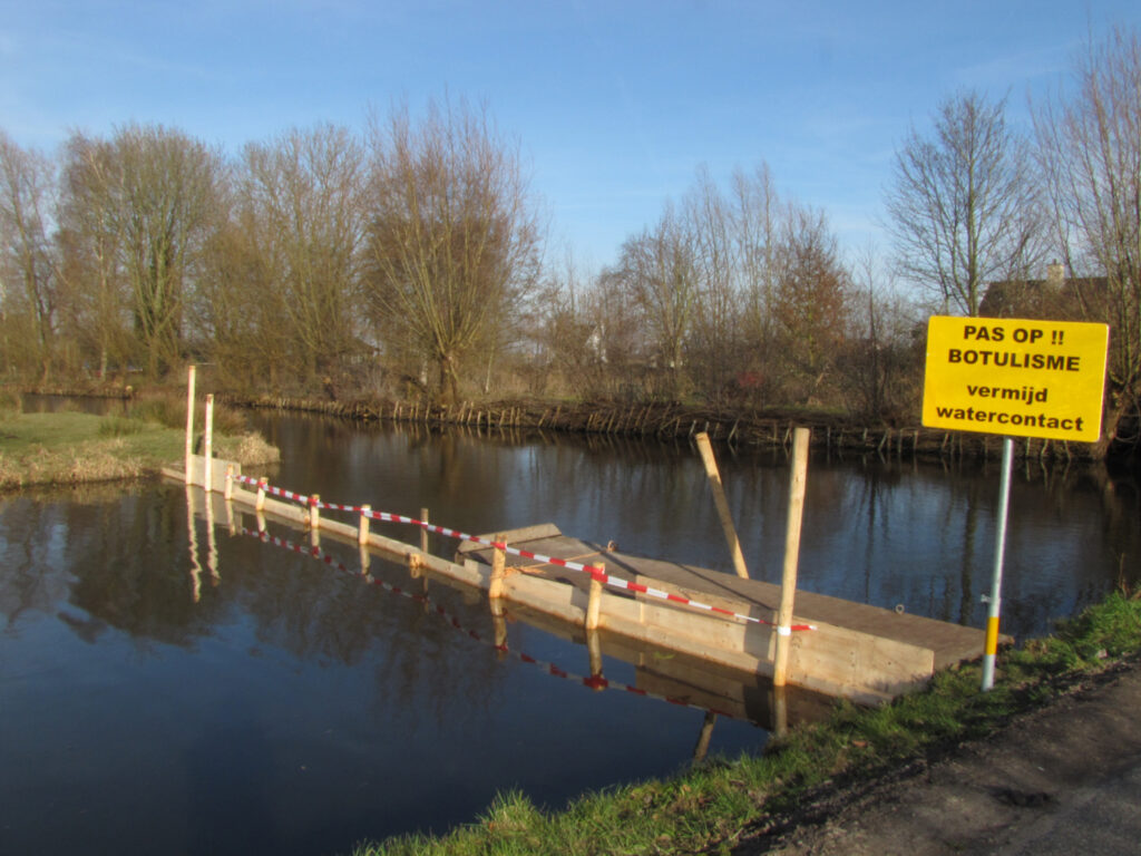 Vissen met botulisme in Reeuwijk
