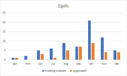 Eindbericht egel onderzoek 2019