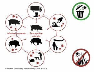 Figuur met besmettingsroutes AVP