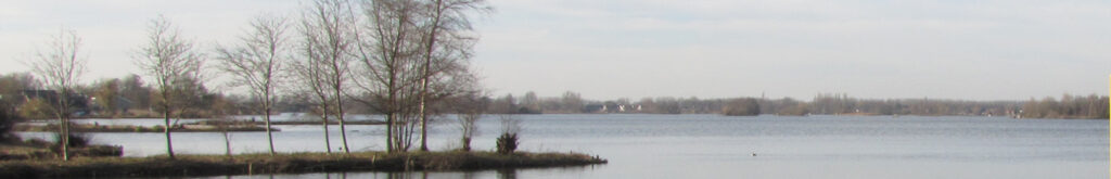 Seoul virus bij ratten