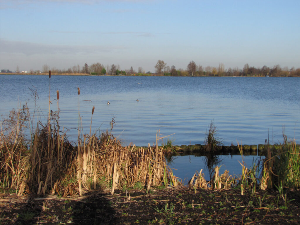 Vleermuizenrabies in Noorwegen