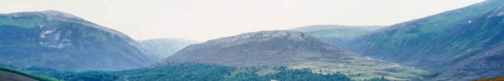 Wintersterfte edelherten in de Schotse Hooglanden door onderkoeling