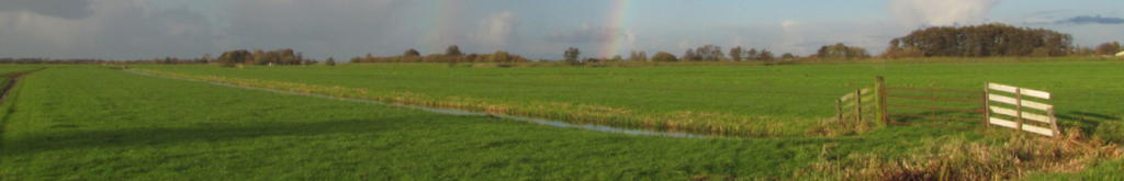 Oorzaak vallende muizen in Hommerts