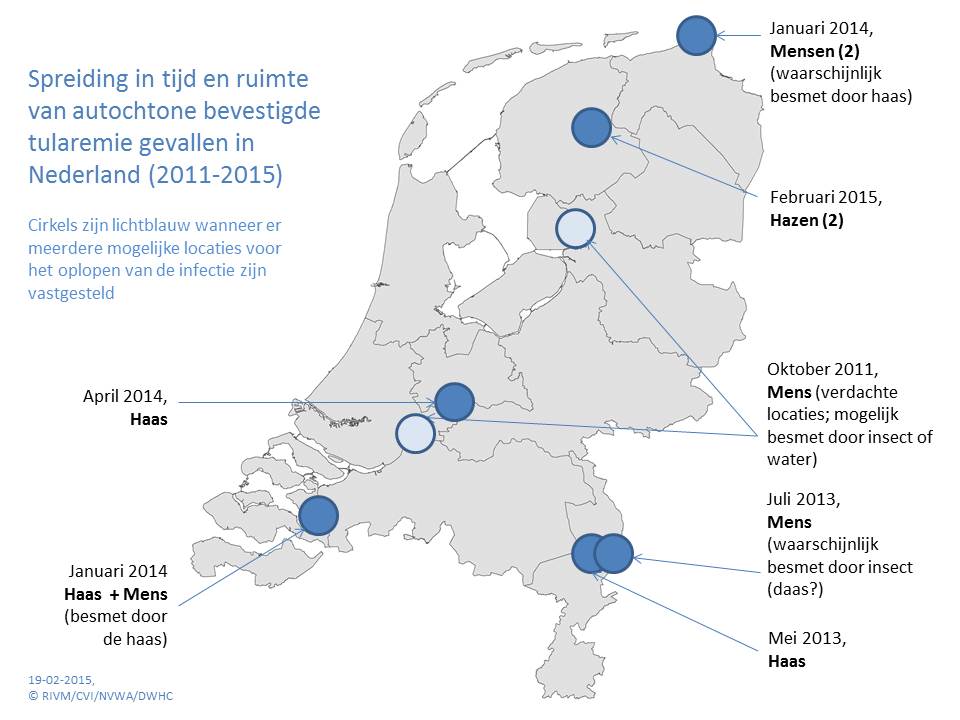 Hazenpest (tularemie) nu ook in Friesland