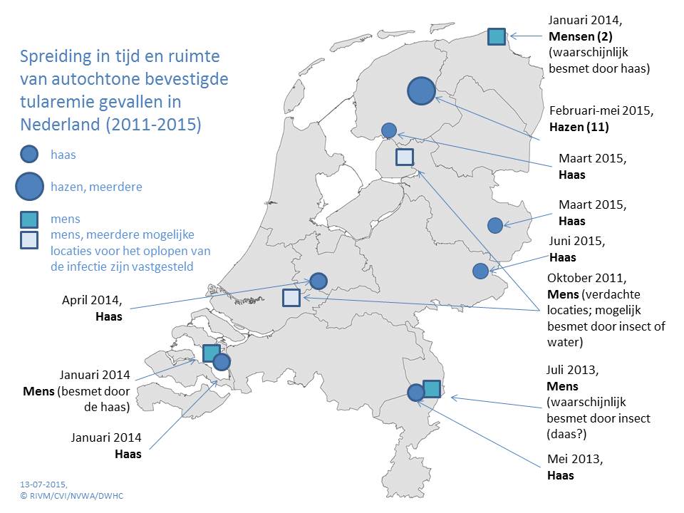 Hazenpest nu ook in Gelderland