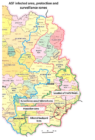Uitbraak van Afrikaanse varkenspest in Letland bij zowel gehouden varkens als wilde zwijnen